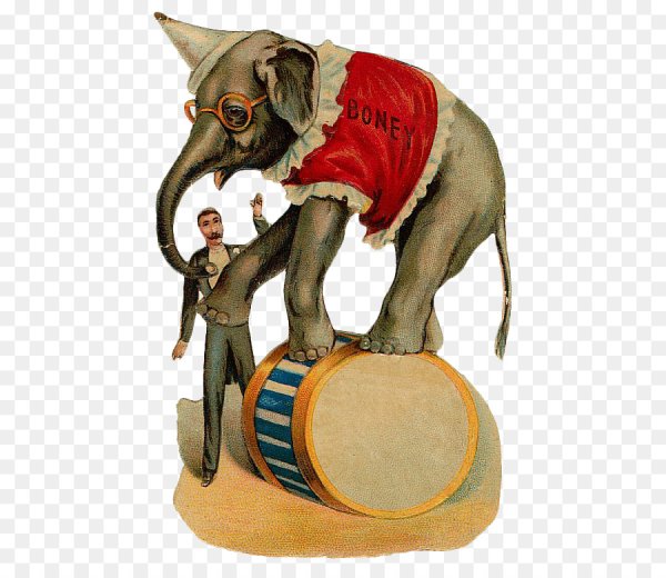 Цирковые иллюстрации