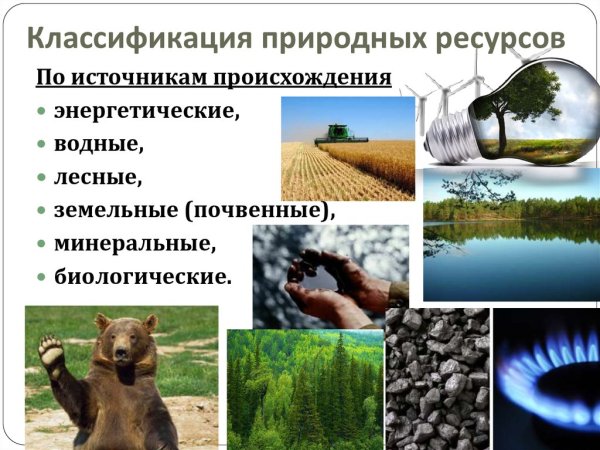 Природные ресурсы