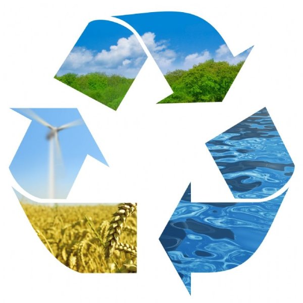 Природные запасы это возобновляемый