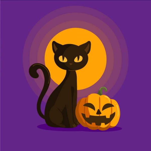 Хэллоуин кошка