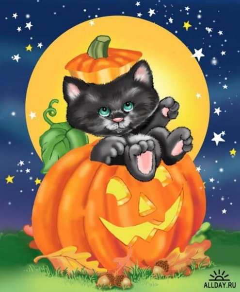 Котенок Хэллоуин