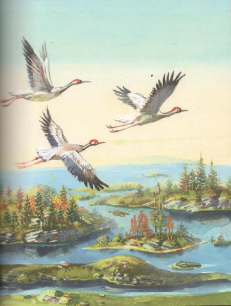 Соколов Микитов улетают Журавли