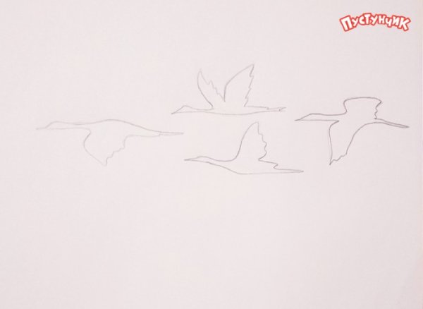 Птицы улетают карандашом