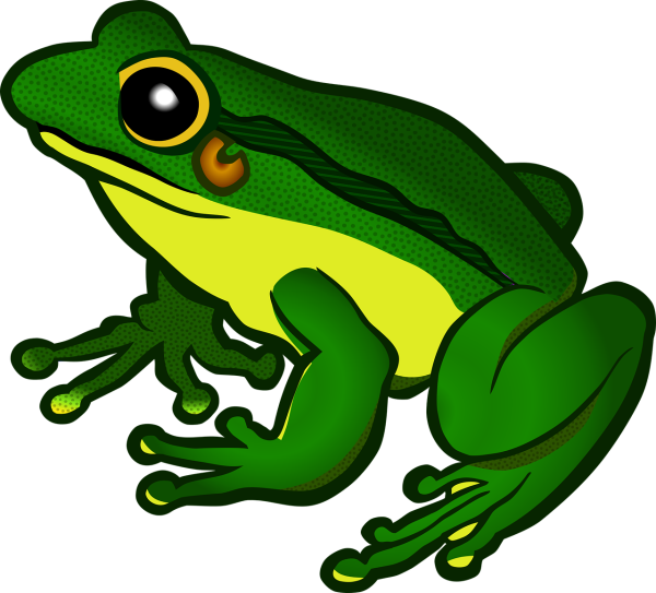 Лягушка Froggy