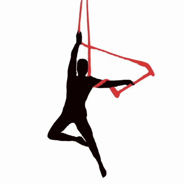 Воздушные гимнасты