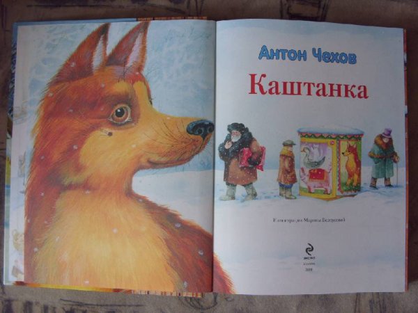 Иллюстрации из книги каштанка