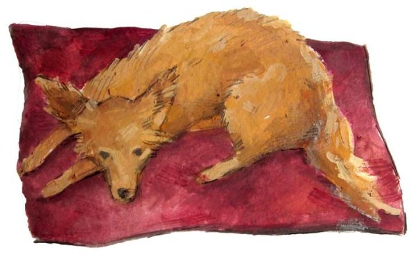 Иллюстрации к произведениям Чехова каштанка