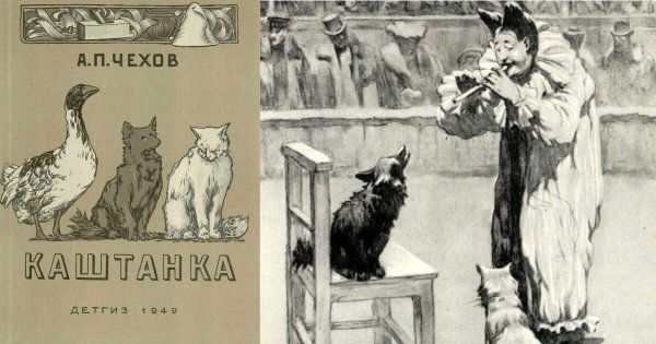 Иллюстрации к каштанке Чехова