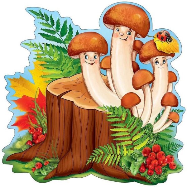 Armillaria mellea рисунок
