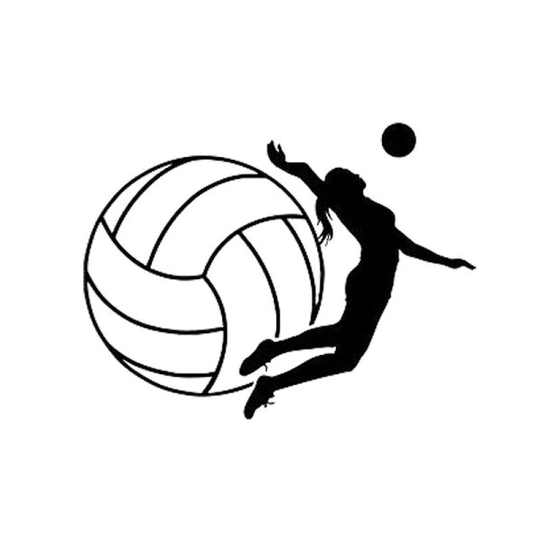 Волейбольный мяч чёрно белый