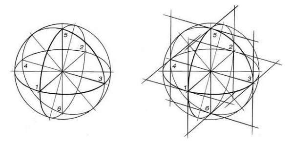 Конструктивное построение овощей и фруктов