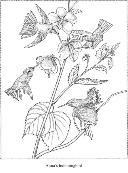 Крупа раскраска для детей