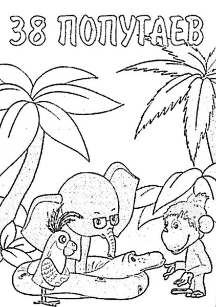 Попугай из 38 попугаев