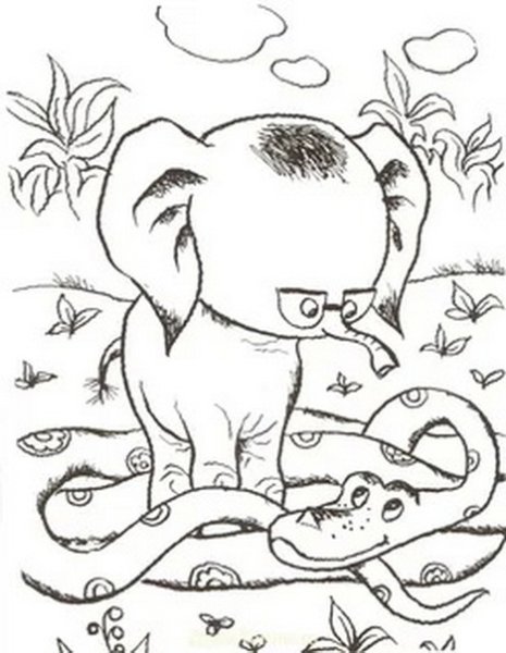 Раскраска 38 попугаев мартышка