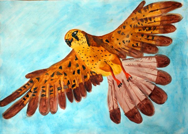 Птица рисунок