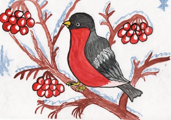 Птица детский рисунок