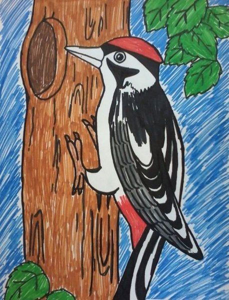 Детские рисунки птиц