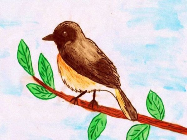 Рисунок попугая для срисовки