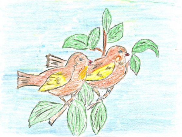 Рисуется Снегирь