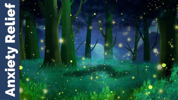 Firefly Forest ("Лесной Светлячок")