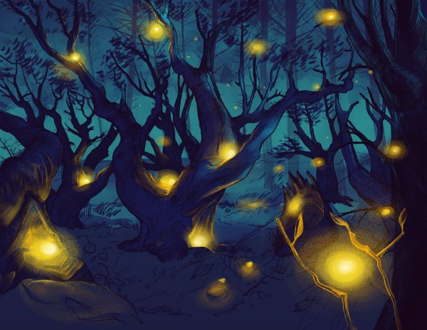 Волшебный ночной лес