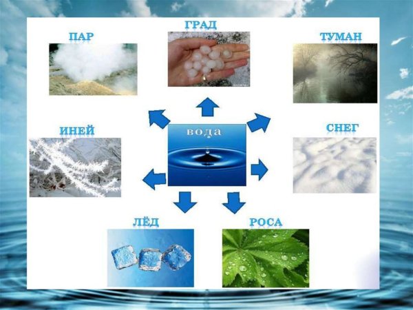 Свойства воды опыты
