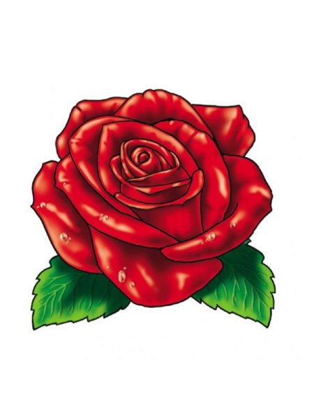 Роза рисунок