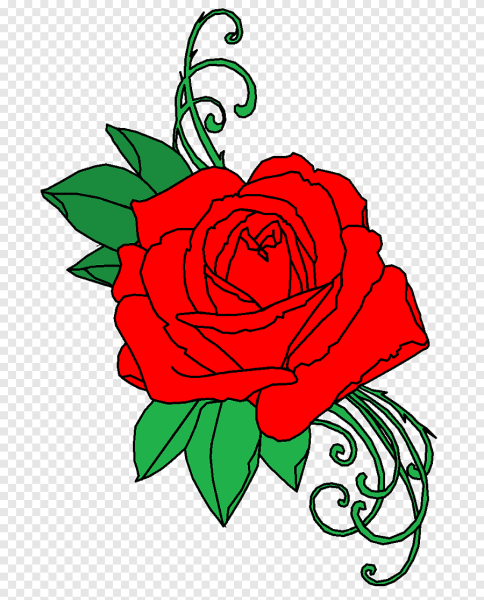 Красные розы нарисованные