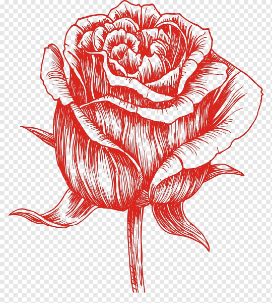 Красный цветок нарисованный