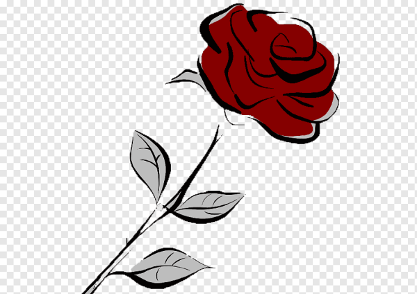 Алая роза рисунок