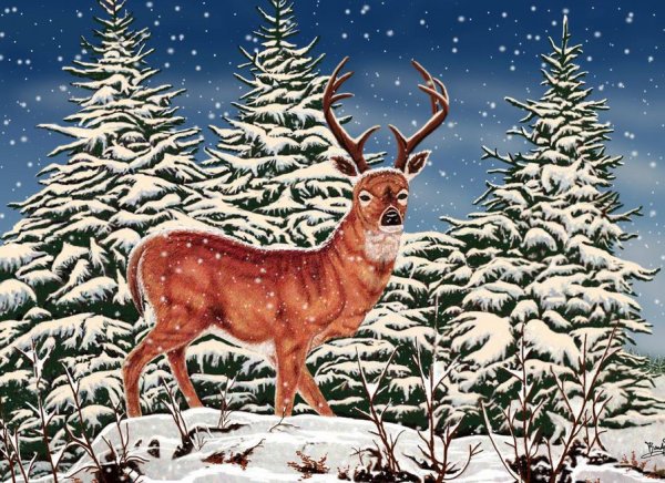 Иллюстрации олень