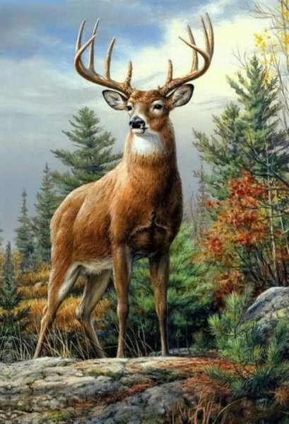 Картина олени