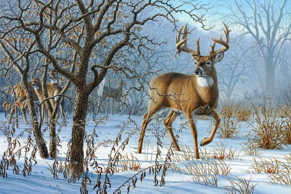 Олень в зимнем лесу