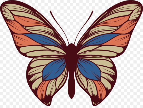 Векторная Графика бабочка
