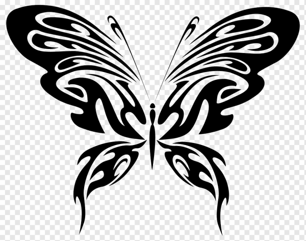 Векторные бабочки