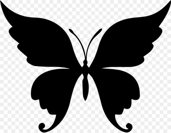 Контуры бабочек для декора