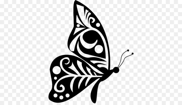 Стилизованная бабочка на прозрачном фоне