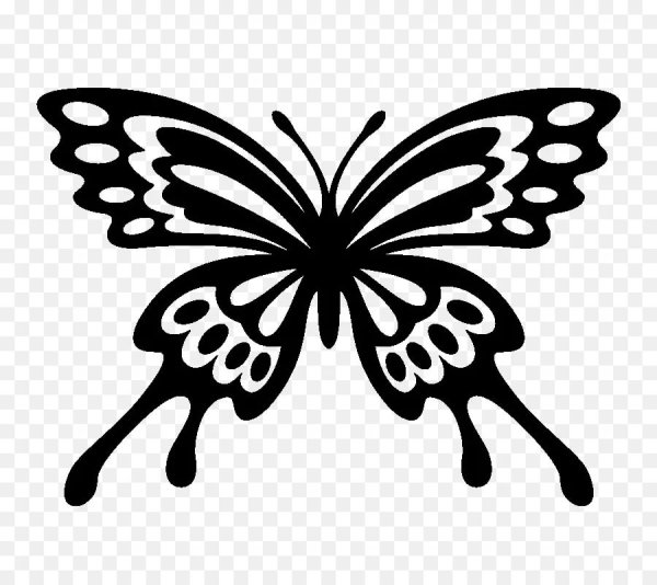 Векторные бабочки