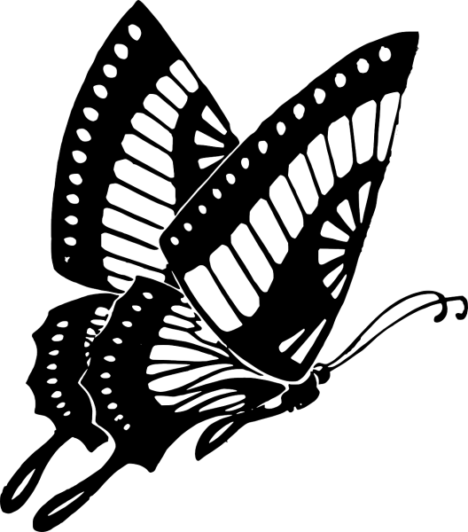 Бабочка вектор