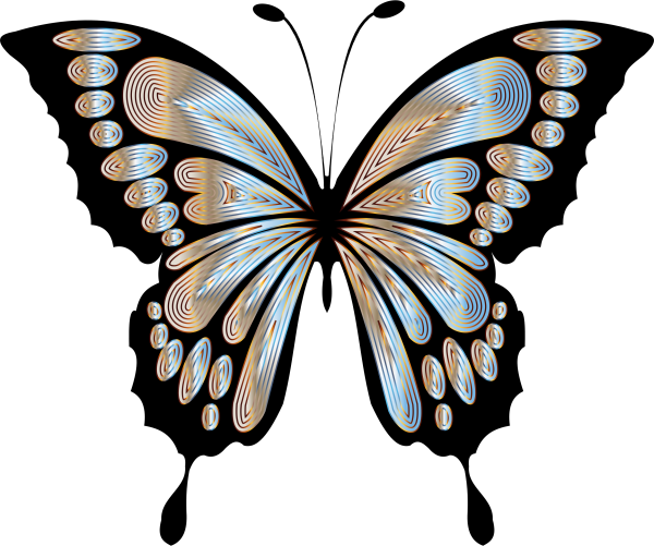 Векторные бабочки