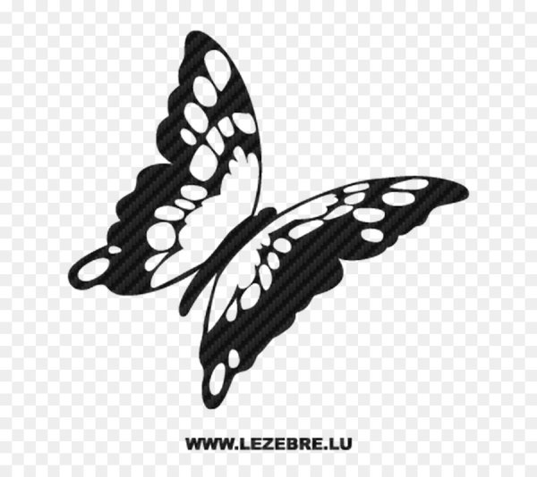 Контурные бабочки