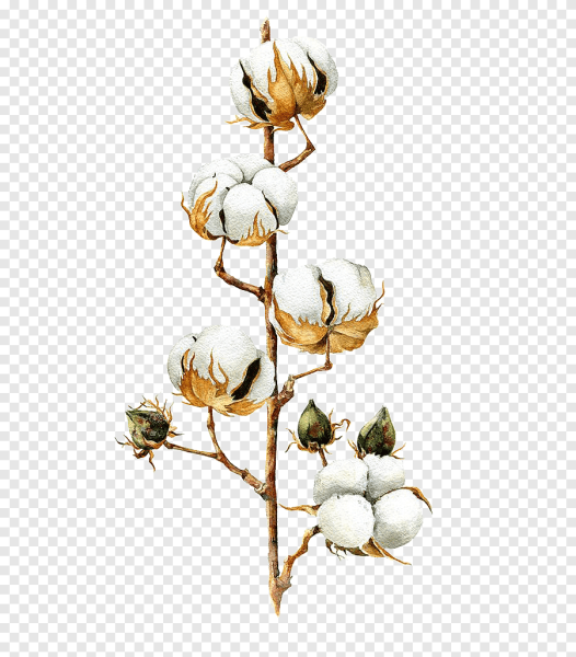 Хлопок нарисованный