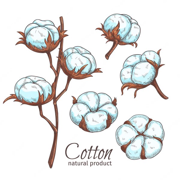 Рисование хлопок