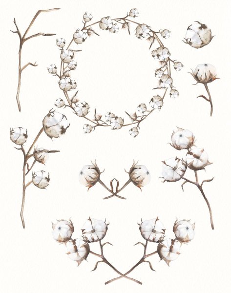 Набросок хлопка