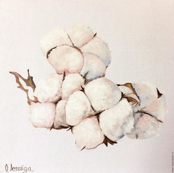 Ботанические зарисовки