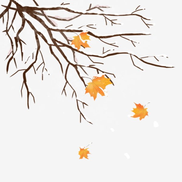 Дерево с опавшими листьями