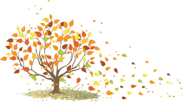 Дерево с опадающими листьями для детей