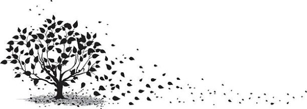 Дерево с падающими листьями силуэт вектор