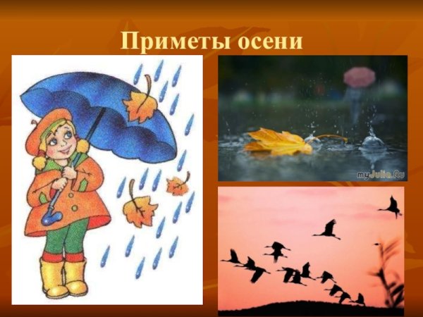 Рисунок на тему осенние приметы
