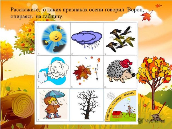Признаки осени для детей